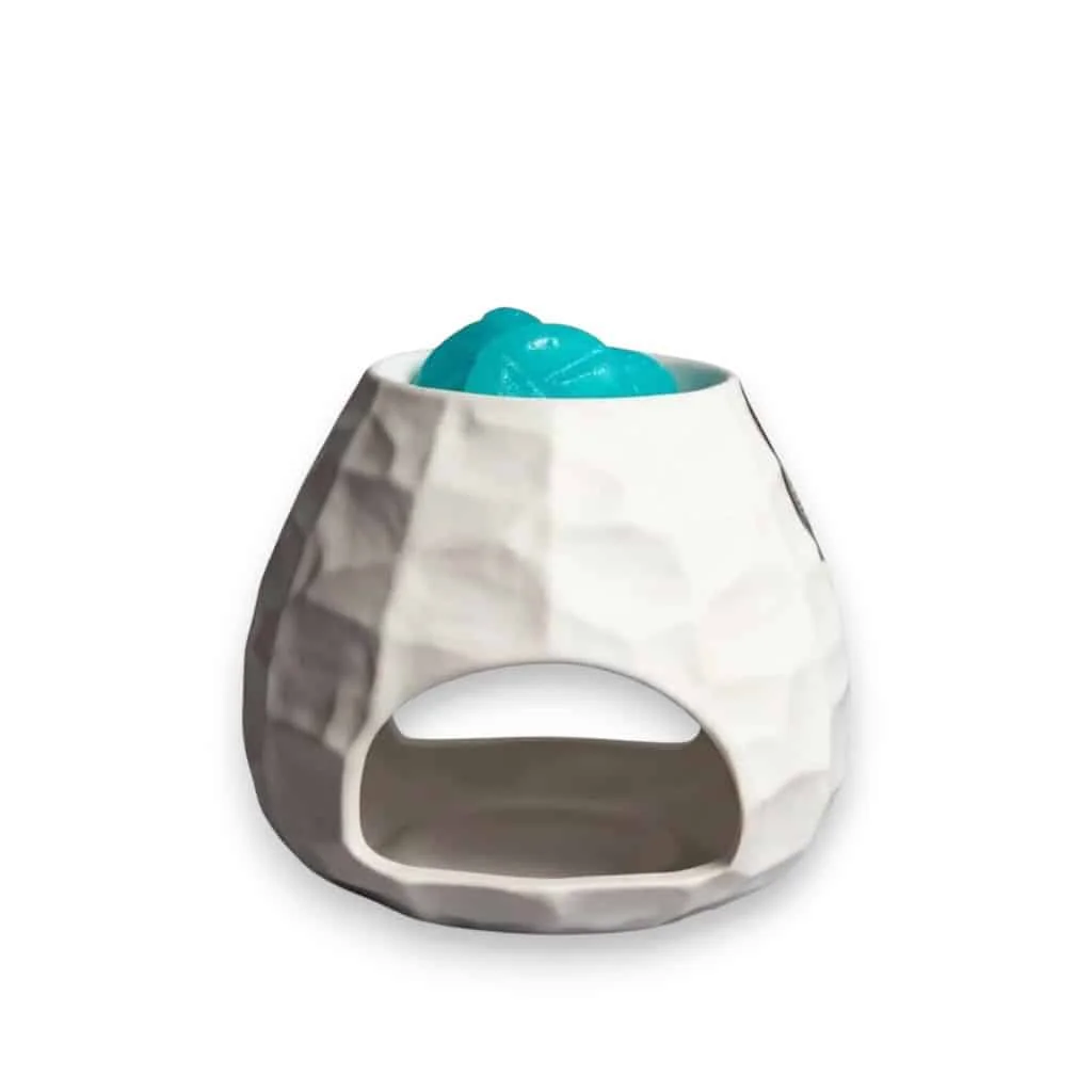 Φωτογραφία προϊόντος: CORONA DI FIORI SCENTCHIPS 850065 ΑΡΩΜΑΤΙΣΤΗΣ CHISSELED ΛΕΥΚΟΣ