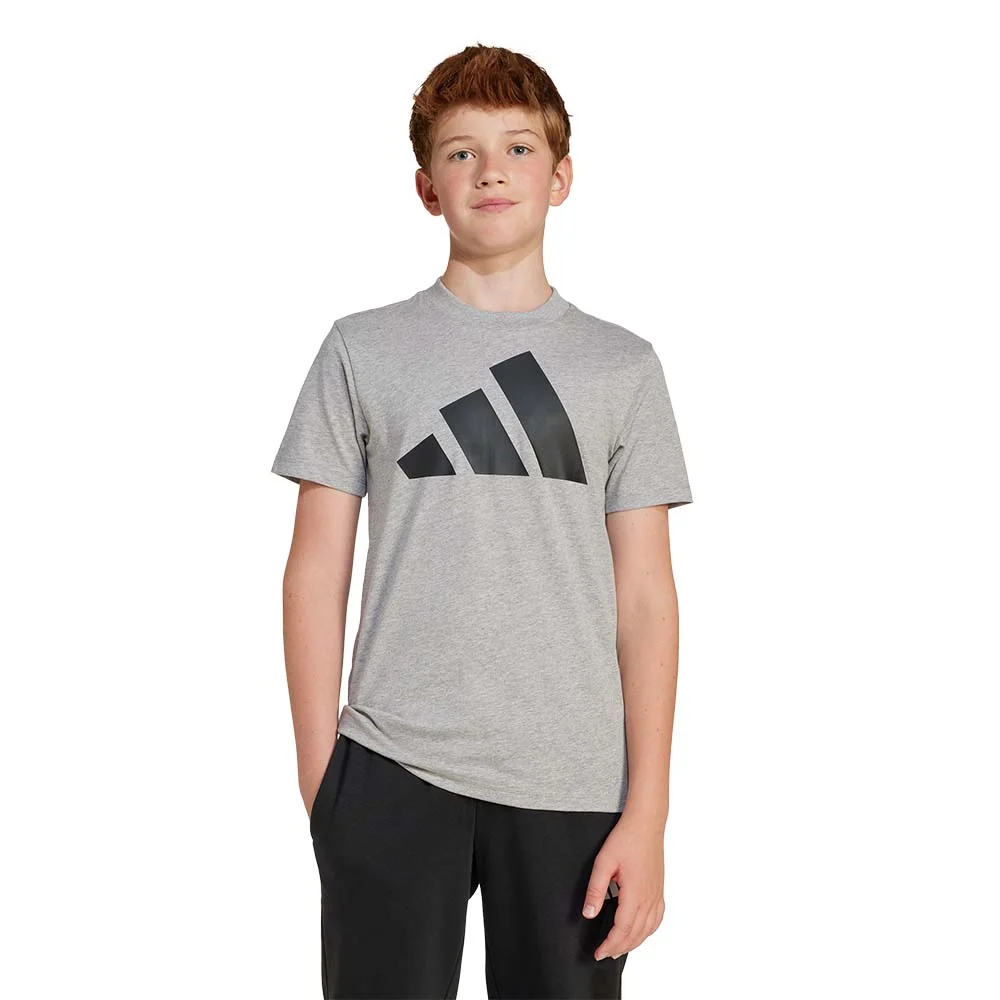 Φωτογραφία προϊόντος: adidas Sportswear Boy's Big Logo 160 Tee Γκρι JC9663 (adidas Sportswear)