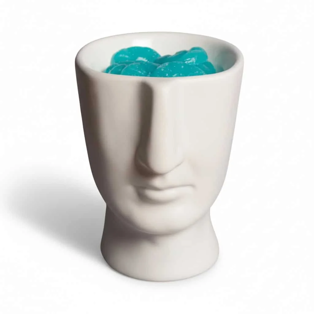 Φωτογραφία προϊόντος: SCENTCHIPS 850139 ΑΡΩΜΑΤΙΣΤΗΣ VISAGE ΛΕΥΚΟ