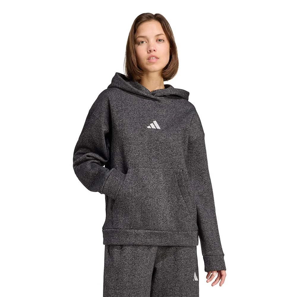 Φωτογραφία προϊόντος: adidas Sportswear Women's All SZN Holiday Glitter Hoodie Μαύρο - Ασημί JX4346 (adidas Sportswear)