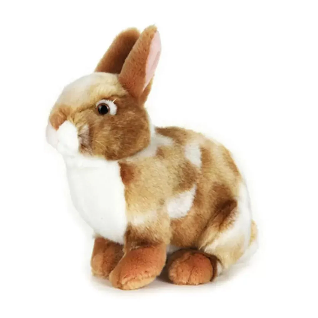Φωτογραφία προϊόντος: Jellycat 710106 Lelly Λούτρινο Λαγουδάκι Καθιστό Καφέ ανοιχτό Eddy 20cm