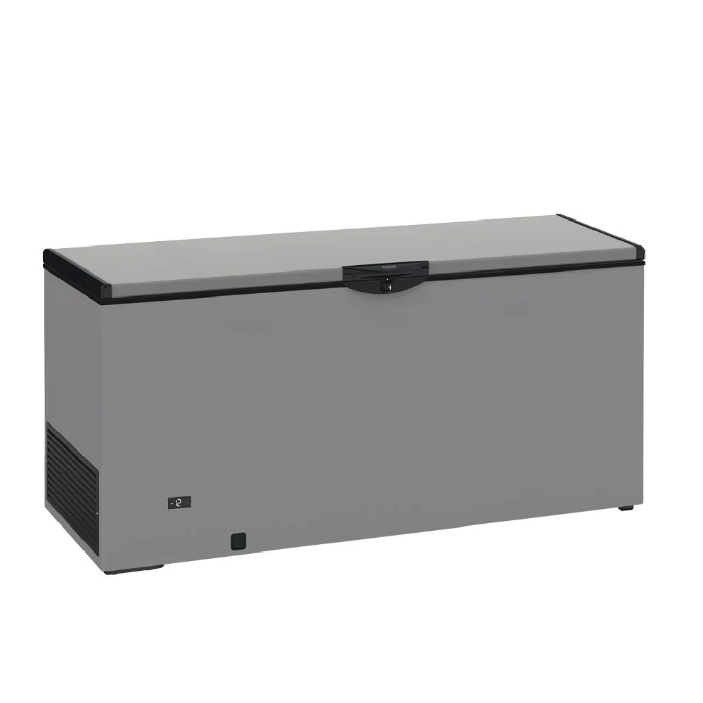 Φωτογραφία προϊόντος: Καταψύκτης Silver 1600x660x850mm