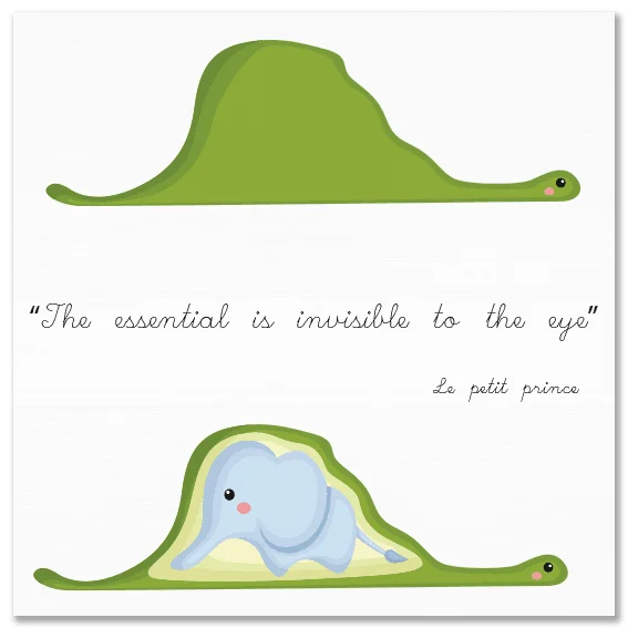 Φωτογραφία προϊόντος: OEM Καμβάς Snake and elephant the little prince Τετράγωνο 90Χ90