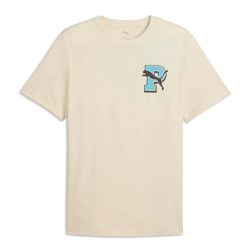 Φωτογραφία προϊόντος: Puma Men's Graphic Varsity Tee Μπεζ 691776-87 (Puma)
