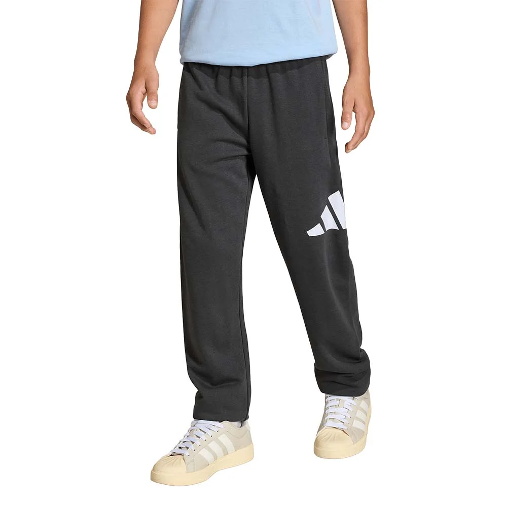 Φωτογραφία προϊόντος: adidas Sportswear Boy's Big Logo French Terry 280 Pant Ανθρακί KD8517 (adidas Sportswear)