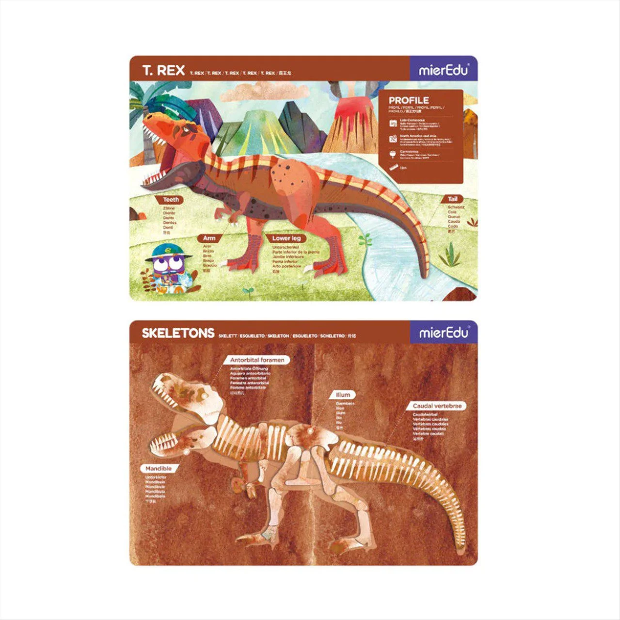 Φωτογραφία προϊόντος: MierEdu - Μαγνητικό Puzzle Tyrannosaurus T.Rex - MEO543