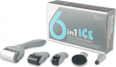 Φωτογραφία προϊόντος: OEM Ekai Technology 6 in 1 Ice Derma Roller 0.5-2mm για Αντιγήρανση