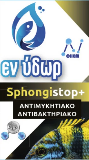 Φωτογραφία προϊόντος: Εν ύδωρ Sphongistop 100ml Εν ύδωρ (2072145)