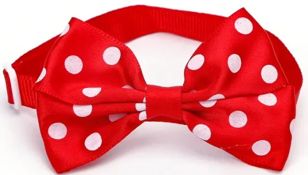 Φωτογραφία προϊόντος: Nobleza παπιγιόν πουά 7.5x5cm/1x(20-36)cm σε διάφορα χρώματα Nobleza (2059039)
