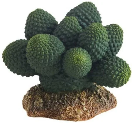 Φωτογραφία προϊόντος: Hobby Διακοσμητικό φυτό Cactus Atacama 7x6x5 cm Hobby (2039147)