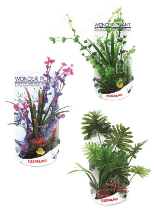 Φωτογραφία προϊόντος: Wave σειρά φυτών wonder h 30-35cm Amtra (1088614)