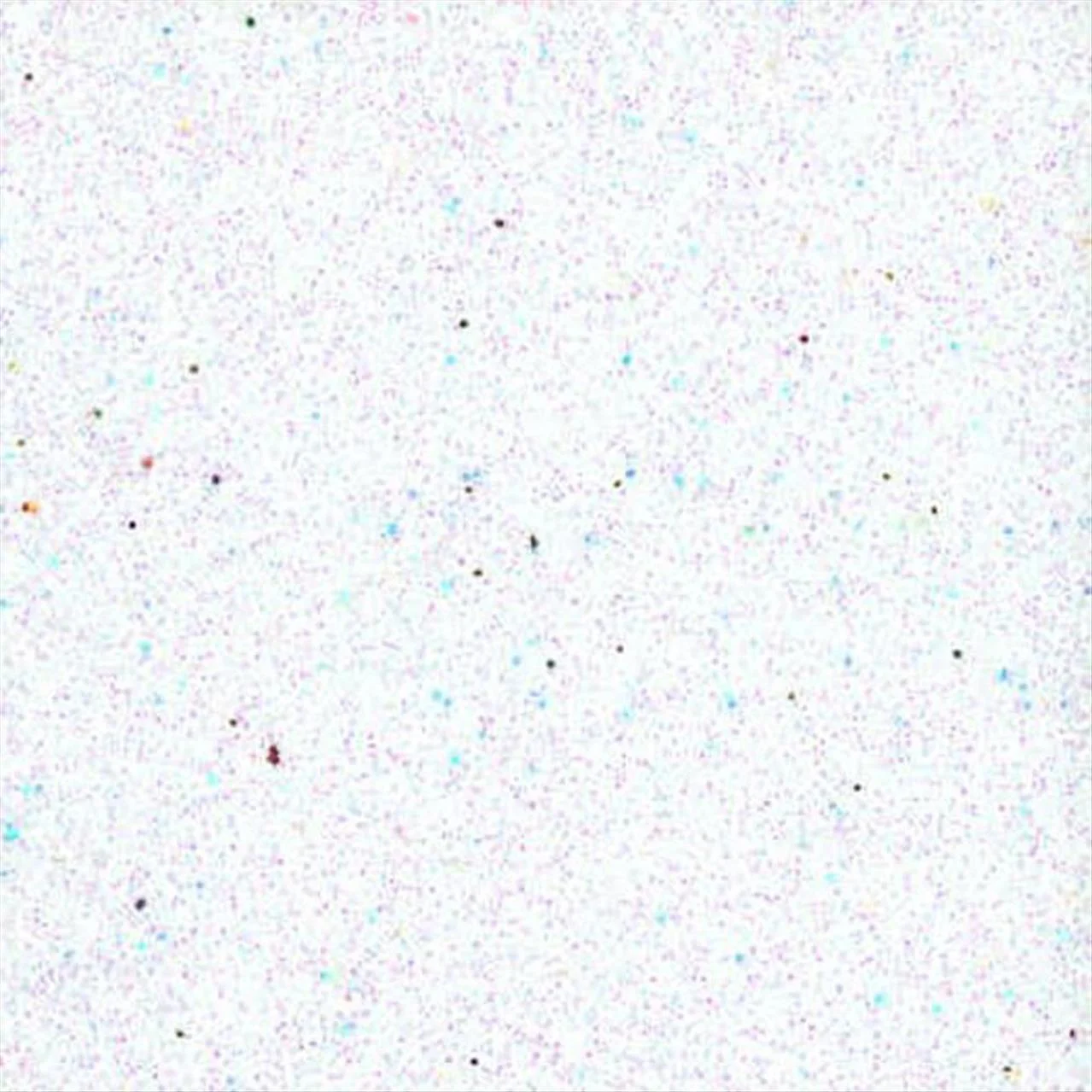 Φωτογραφία προϊόντος: Next Αφρώδες Glitter 1,5mm Α4 White/Tεμάχιο - 18063-00
