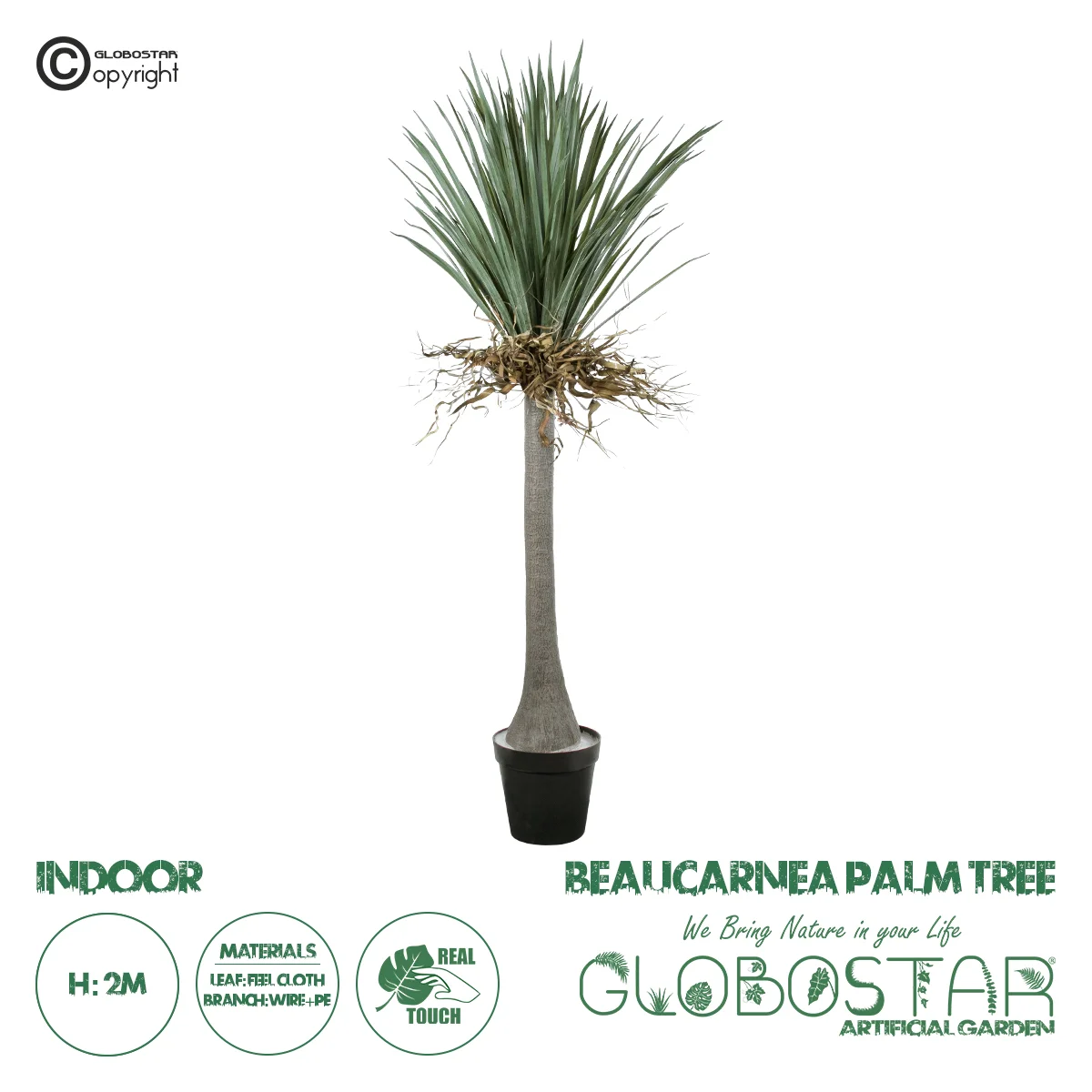 Φωτογραφία προϊόντος: GloboStar® Artificial Garden BEAUCARNEA PALM TREE 20047 Τεχνητό Διακοσμητικό Φυτό Κυρτόφυλλος Μπουκαρνέα Υ200cm