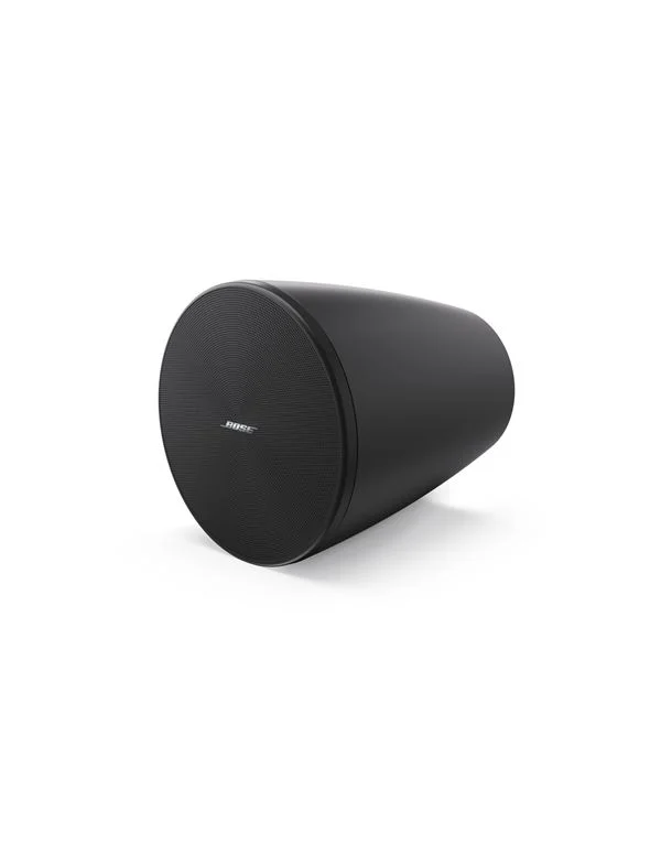 Φωτογραφία προϊόντος: Bose Professional BOSE DesignMax DM5P Black(Zεύγος)