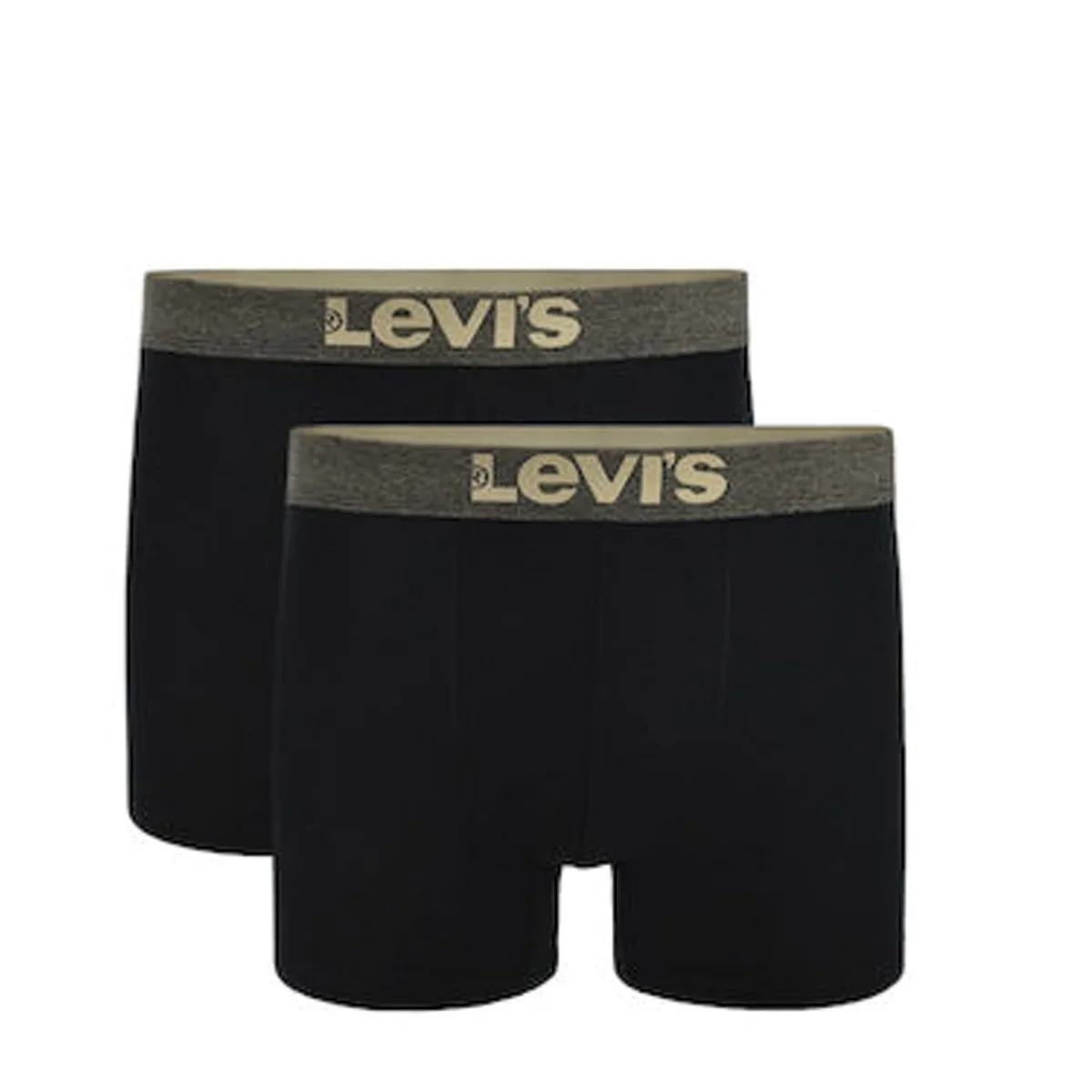 Φωτογραφία προϊόντος: Levi's Ανδρικά Boxer 2Pack 701203923-009