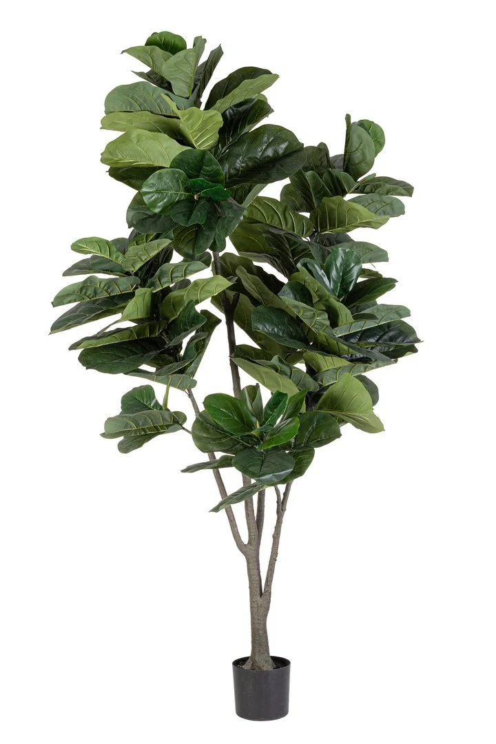 Φωτογραφία προϊόντος: Τεχνητό φυτό "Ficus" Φ120x230cm (Bizzotto) (BZ-0172978)