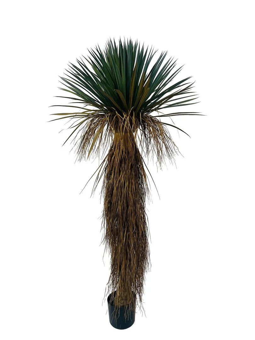Φωτογραφία προϊόντος: Τεχνητό φυτό "Yucca" 70x70x180cm (Bizzotto) (BZ-0173145)