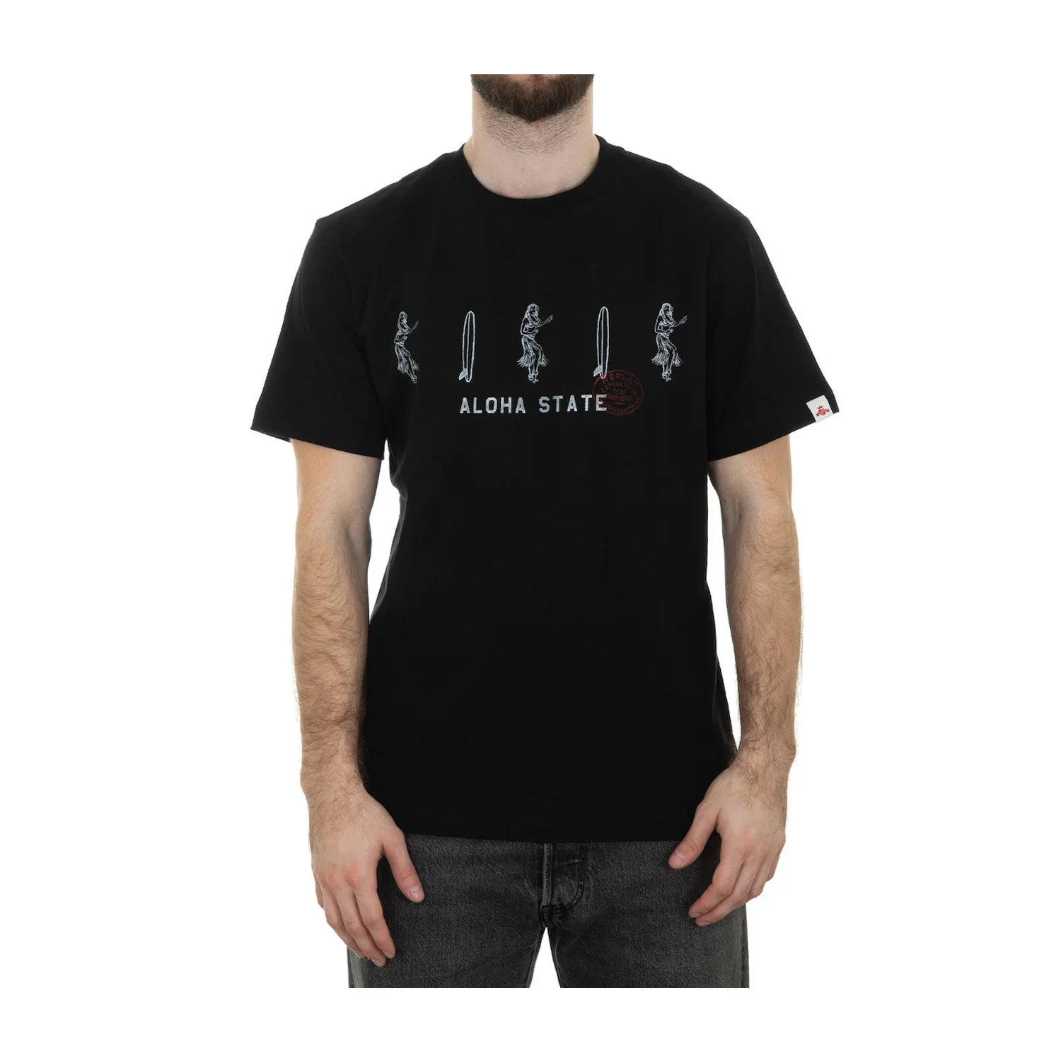 Φωτογραφία προϊόντος: Replay Ανδρικό T-Shirt M3067-000-2660-098
