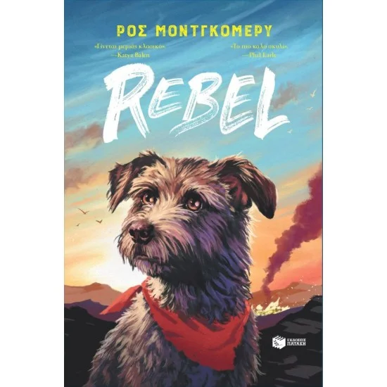 Φωτογραφία προϊόντος: ΠΑΤΑΚΗΣ Rebel