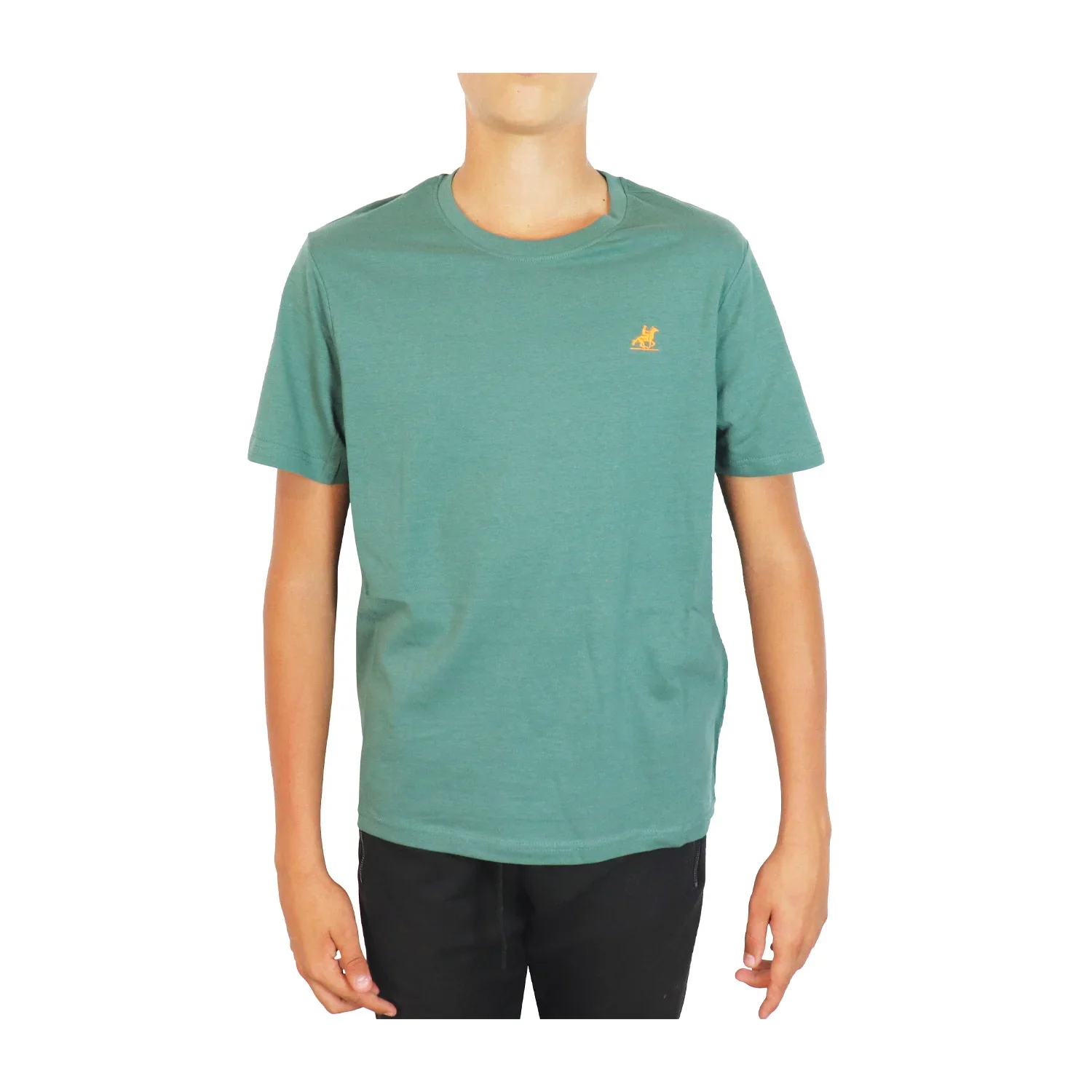 Φωτογραφία προϊόντος: U.S. Grand Polo Ανδρικό T-Shirt USN41699M-5611