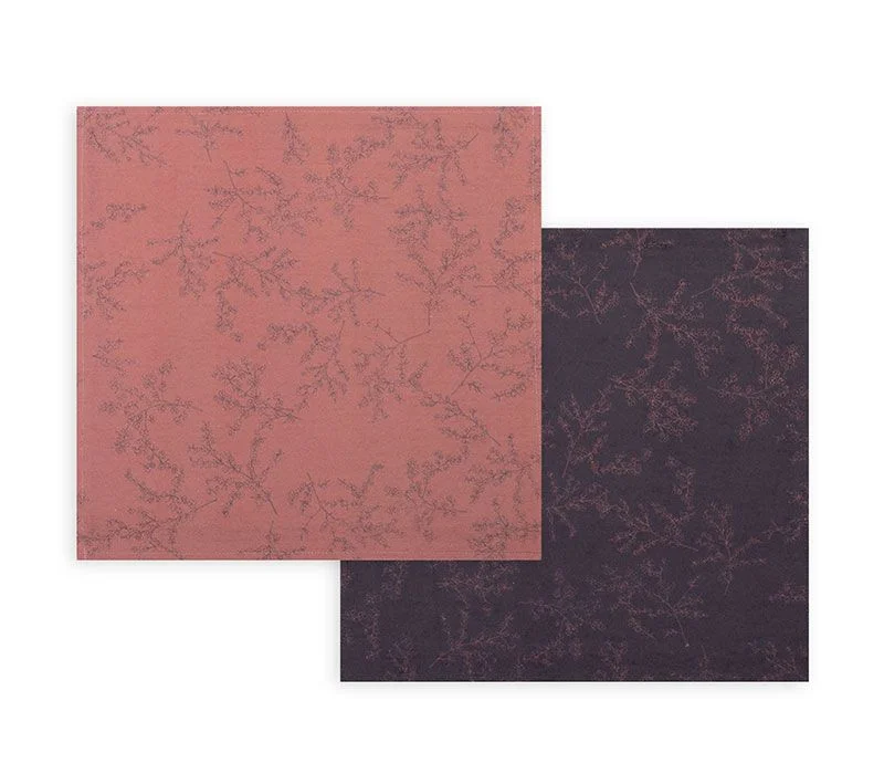 Φωτογραφία προϊόντος: Nef-Nef Homeware Nef Nef Σουπλα Femme 40x40 Βαμβακερό Terra/black