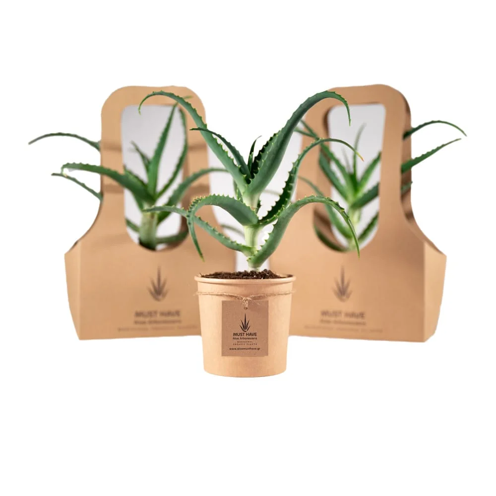 Φωτογραφία προϊόντος: Φυτό ΒΙΟ Aloe Arborescens 25-30cm - 9001 Ελλάδα Βιολογικό προϊόν