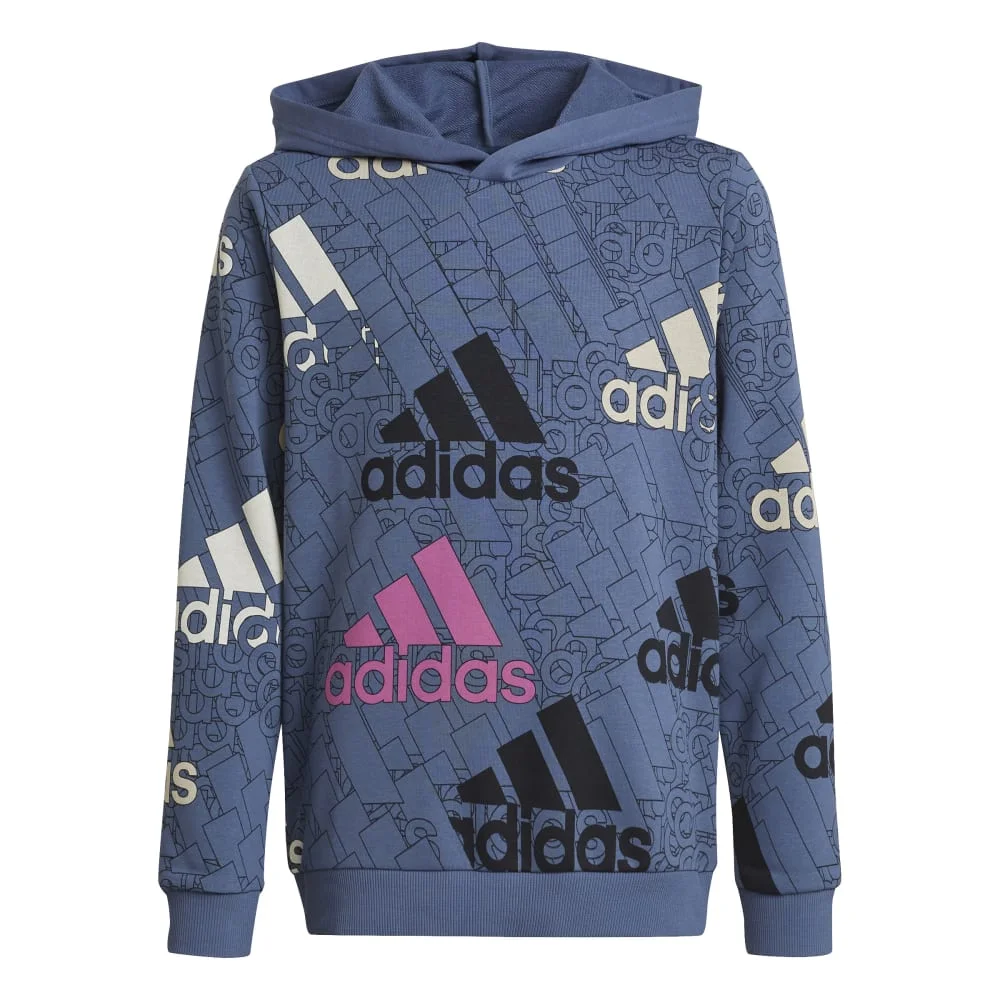 Φωτογραφία προϊόντος: ADIDAS PERFORMANCE ADIDAS BL Logo Hoodie Sweat