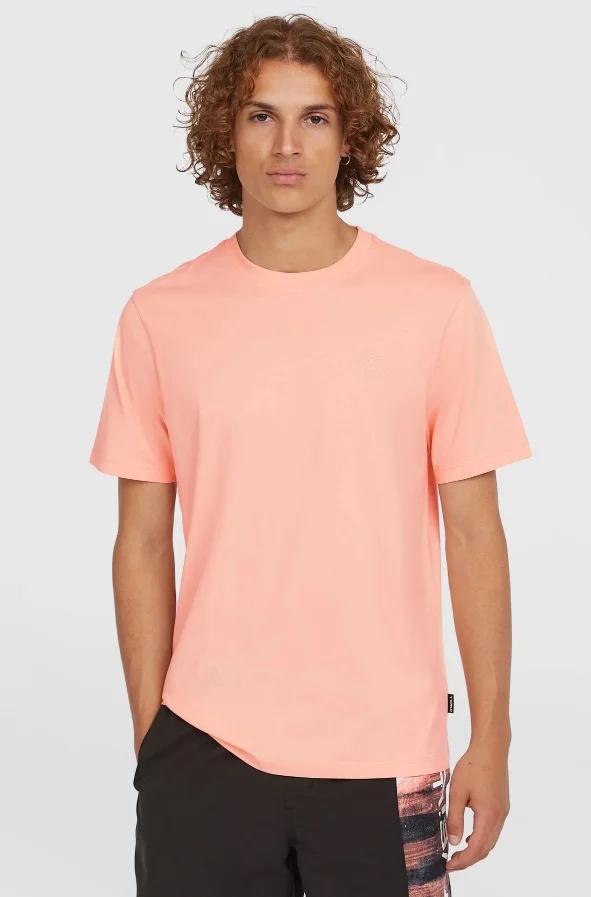 Φωτογραφία προϊόντος: O'NEILL Small Logo T-Shirt