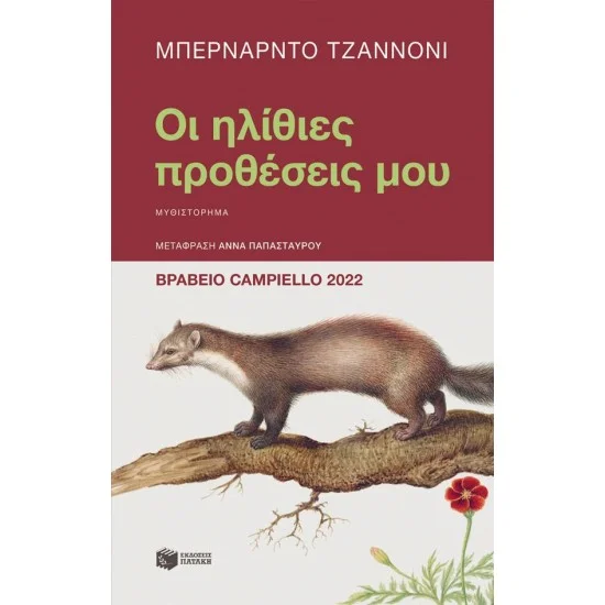 Φωτογραφία προϊόντος: ΠΑΤΑΚΗΣ Οι ηλίθιες προθέσεις μου