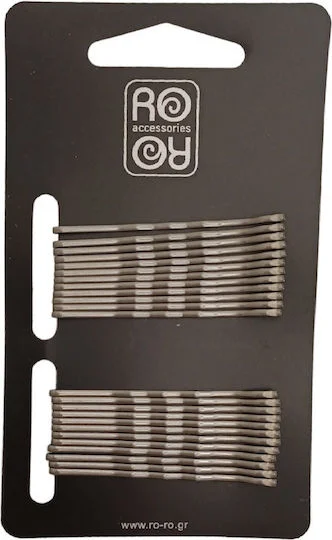 Φωτογραφία προϊόντος: Ro-Ro Accessories Απλά Τσιμπιδάκια Μαλλιών Ασημί 24τμχ
