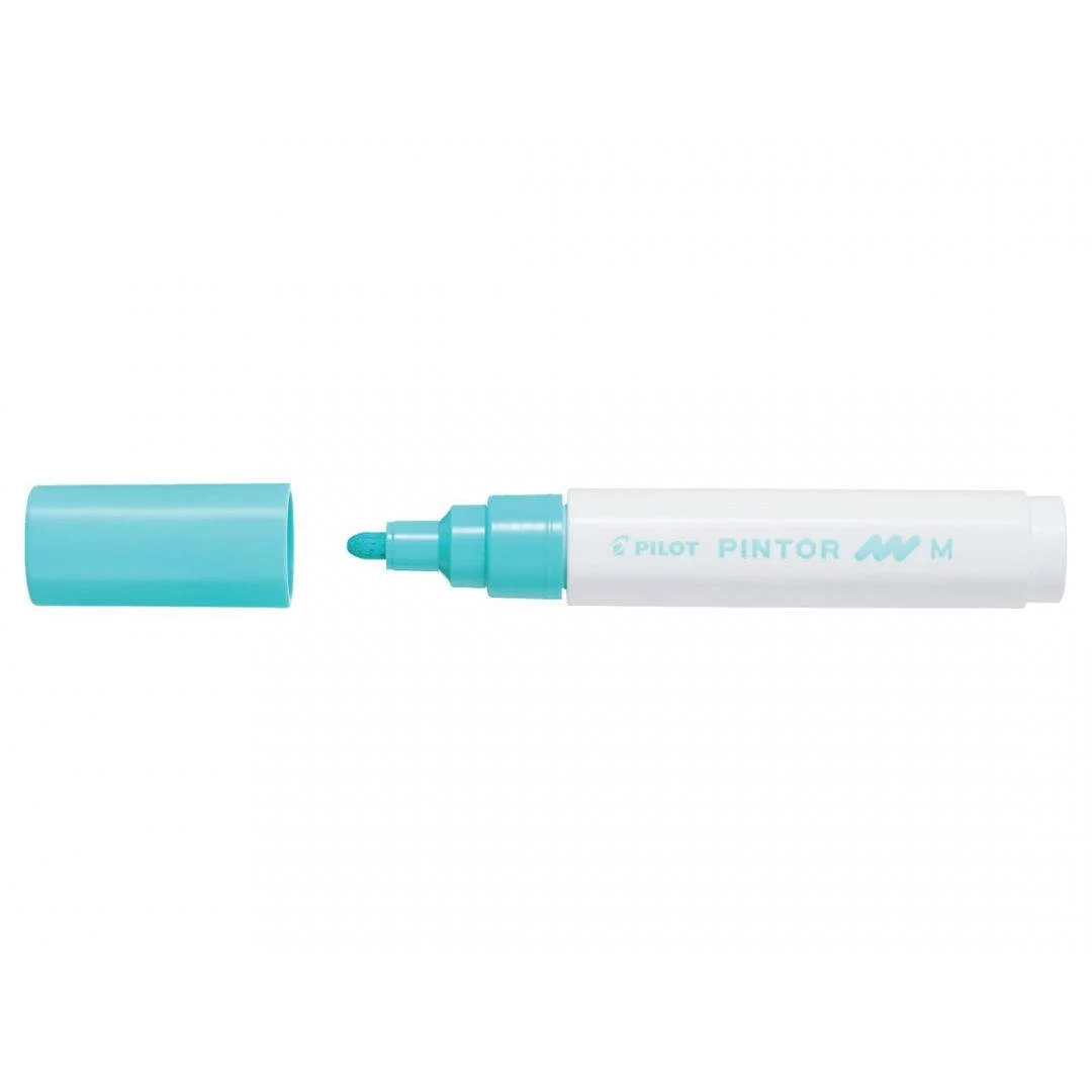 Φωτογραφία προϊόντος: PILOT ΜΑΡΚΑΔΟΡΟΣ PAINT PINTOR MEDIUM PASTEL GREEN