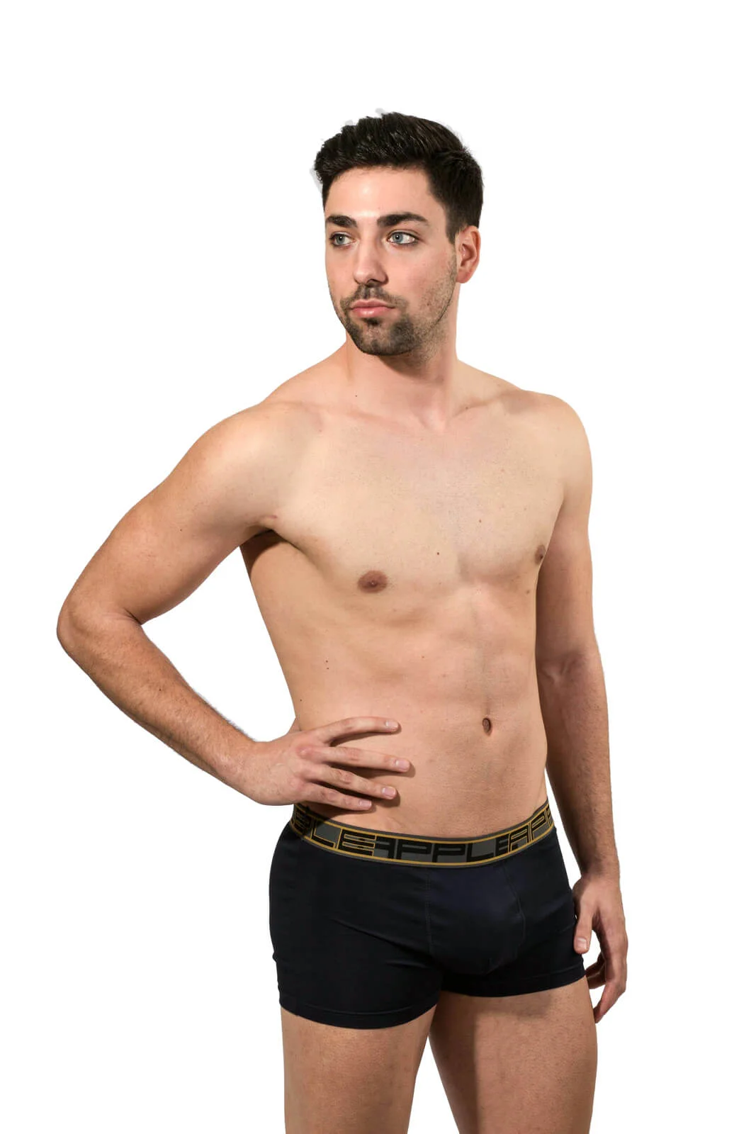 Φωτογραφία προϊόντος: ΑΝΔΡΙΚΟ BOXER APPLE (0110951) - ΜΑΡΙΝ/ΧΡΥΣΟ 90% ΒΑΜΒΑΚΙ