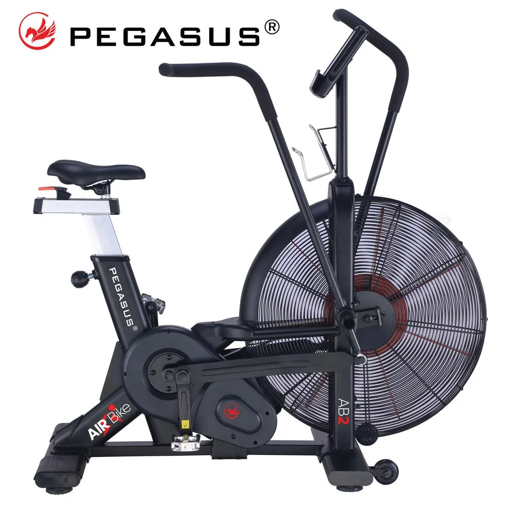 Φωτογραφία προϊόντος: Επαγγελματικό Air Bike AB2 Pegasus®