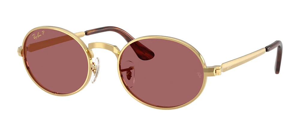 Φωτογραφία προϊόντος: RAY-BAN 3931 001/AF ΠΟΛΩΤΙΚΟΣ-ΦΩΤΟΧΡΩΜΙΚΟΣ-ΠΡΙΣΜΑΤΙΚΟΣ