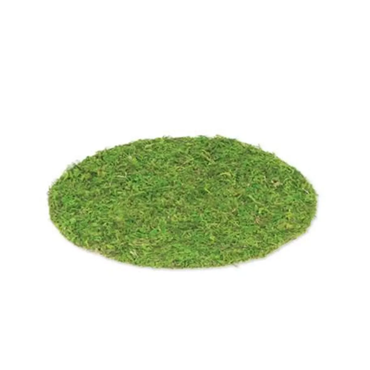 Φωτογραφία προϊόντος: Beauty Home Σούπλα GREENERY 35 cm