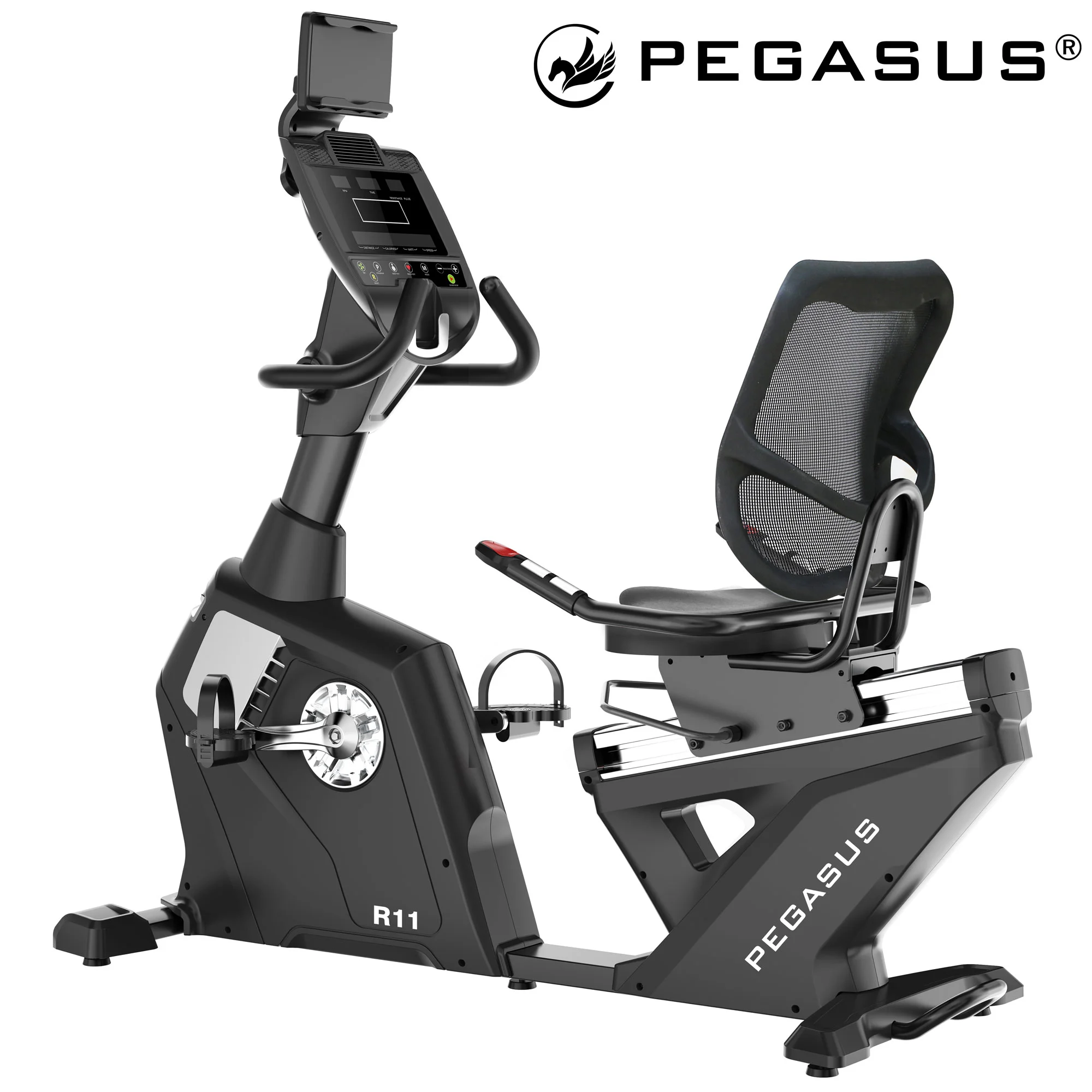 Φωτογραφία προϊόντος: Καθιστό Ποδήλατο Pegasus® R11