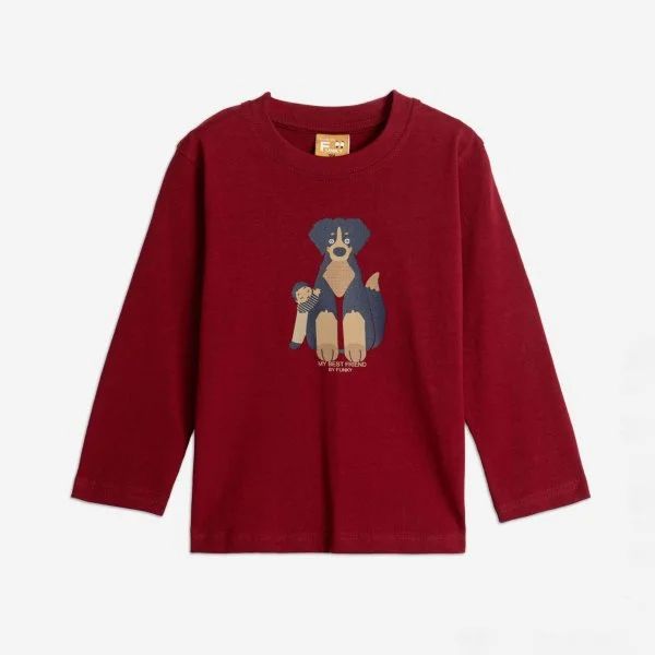 Φωτογραφία προϊόντος: Παιδική μπλούζα for Funky Kids αγόρι 1-6 ετών 225-306117-1 Μπορντό