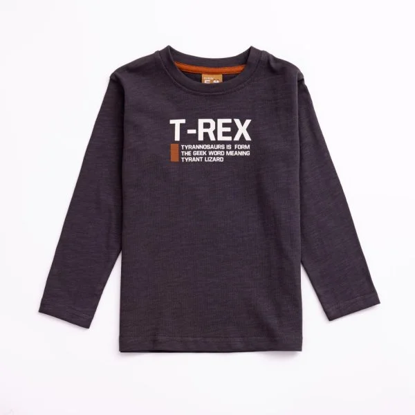 Φωτογραφία προϊόντος: Παιδική μπλούζα for Funky Kids αγόρι 1-6 ετών 224-306115-1 Ανθρακί