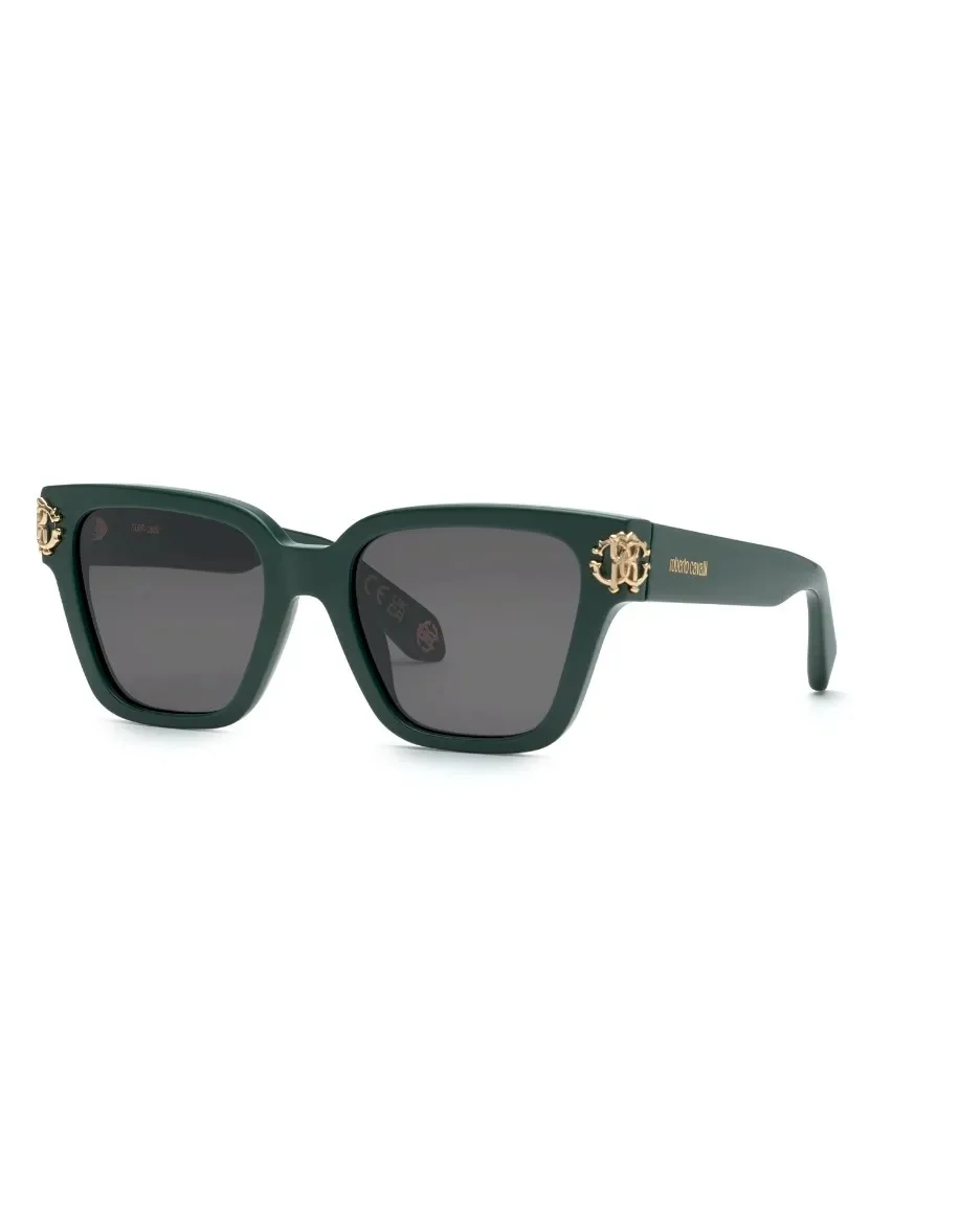 Φωτογραφία προϊόντος: ROBERTO CAVALLI SRC066M 0D80 GREY SOLID