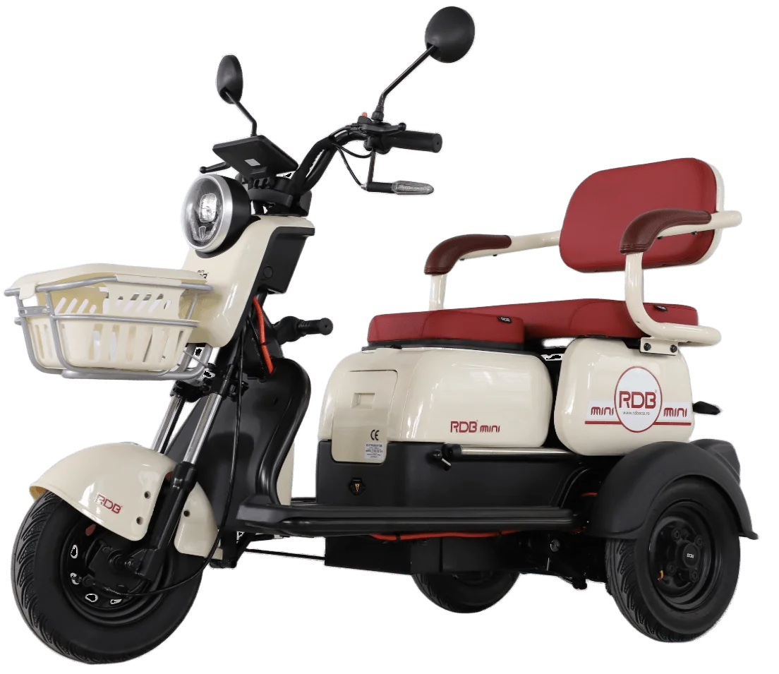 Φωτογραφία προϊόντος: Velogreen RDB ΜΙΝΙ 2000W 60v 20Ah ΧΩΡΙΣ ΔΙΠΛΩΜΑ