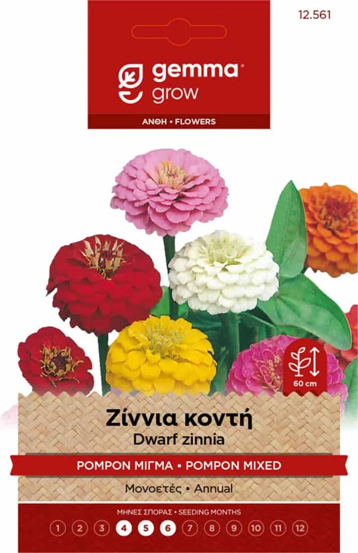 Φωτογραφία προϊόντος: Ζίννια Κοντή GEMMA.