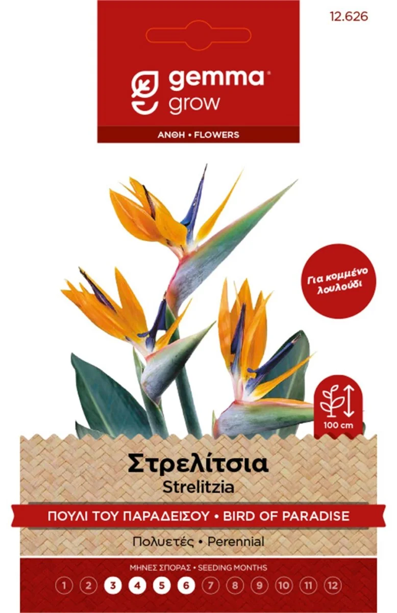 Φωτογραφία προϊόντος: Στρελίτσια GEMMA.
