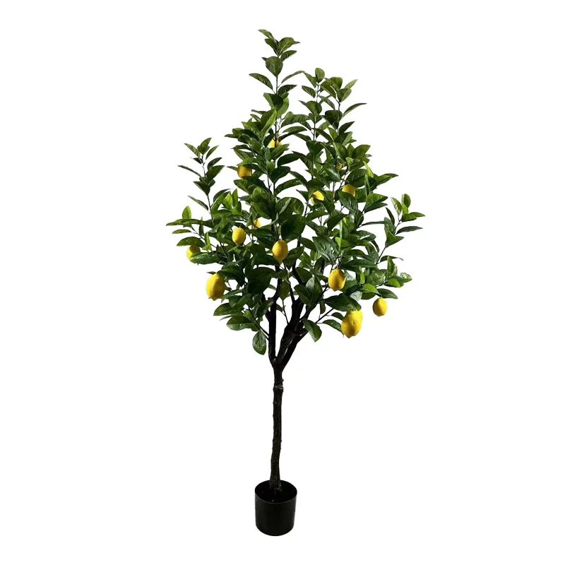 Φωτογραφία προϊόντος: Διακοσμητικό φυτό Lemon tree σε γλάστρα Inart πράσινο pp Υ180εκ