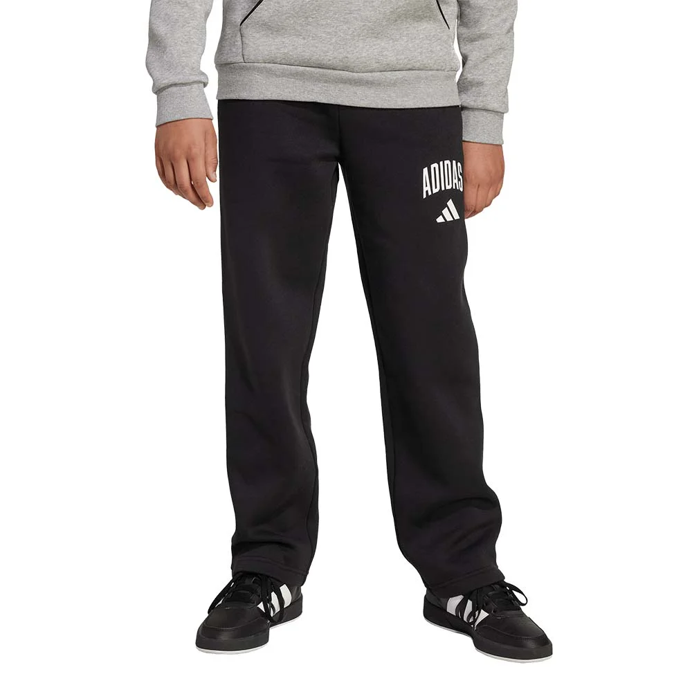 Φωτογραφία προϊόντος: adidas Sportswear Adidas Seasonals Essentials Collegiate Typography Pants
