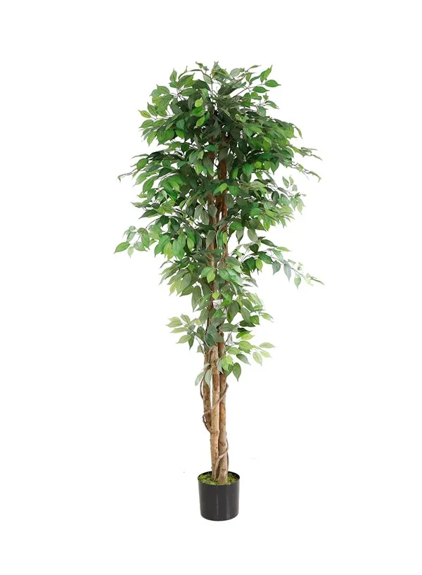 Φωτογραφία προϊόντος: FICUS TREE NP0081_210 ΥΨΟΣ 210cm NewPlan