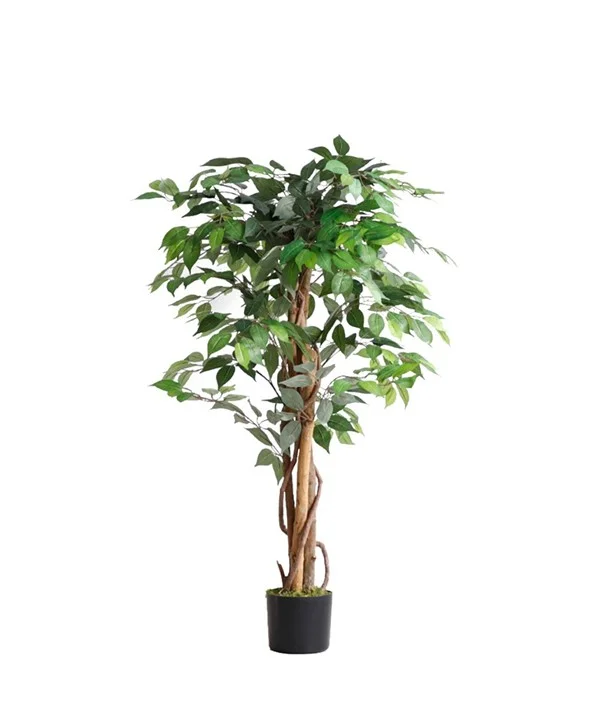 Φωτογραφία προϊόντος: FICUS TREE NP0078_120 YΨΟΣ 120cm NewPlan