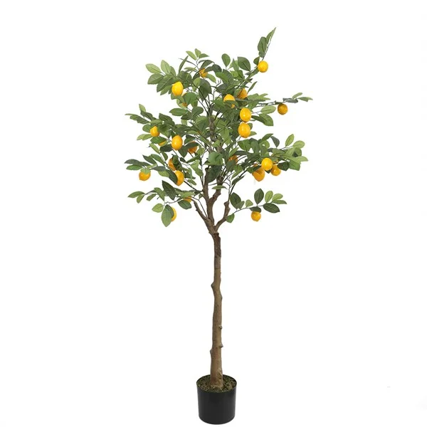 Φωτογραφία προϊόντος: LEMON TREE NP_30_170 ΥΨΟΣ 170cm NewPlan