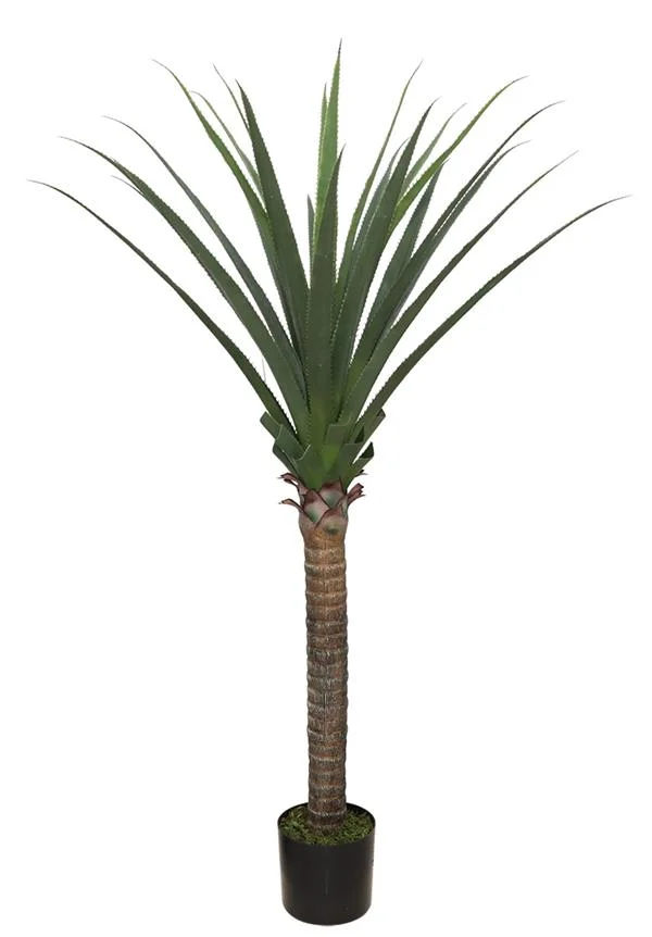 Φωτογραφία προϊόντος: AGAVE TREE NP802_160 ΥΨΟΣ 160cm NewPlan