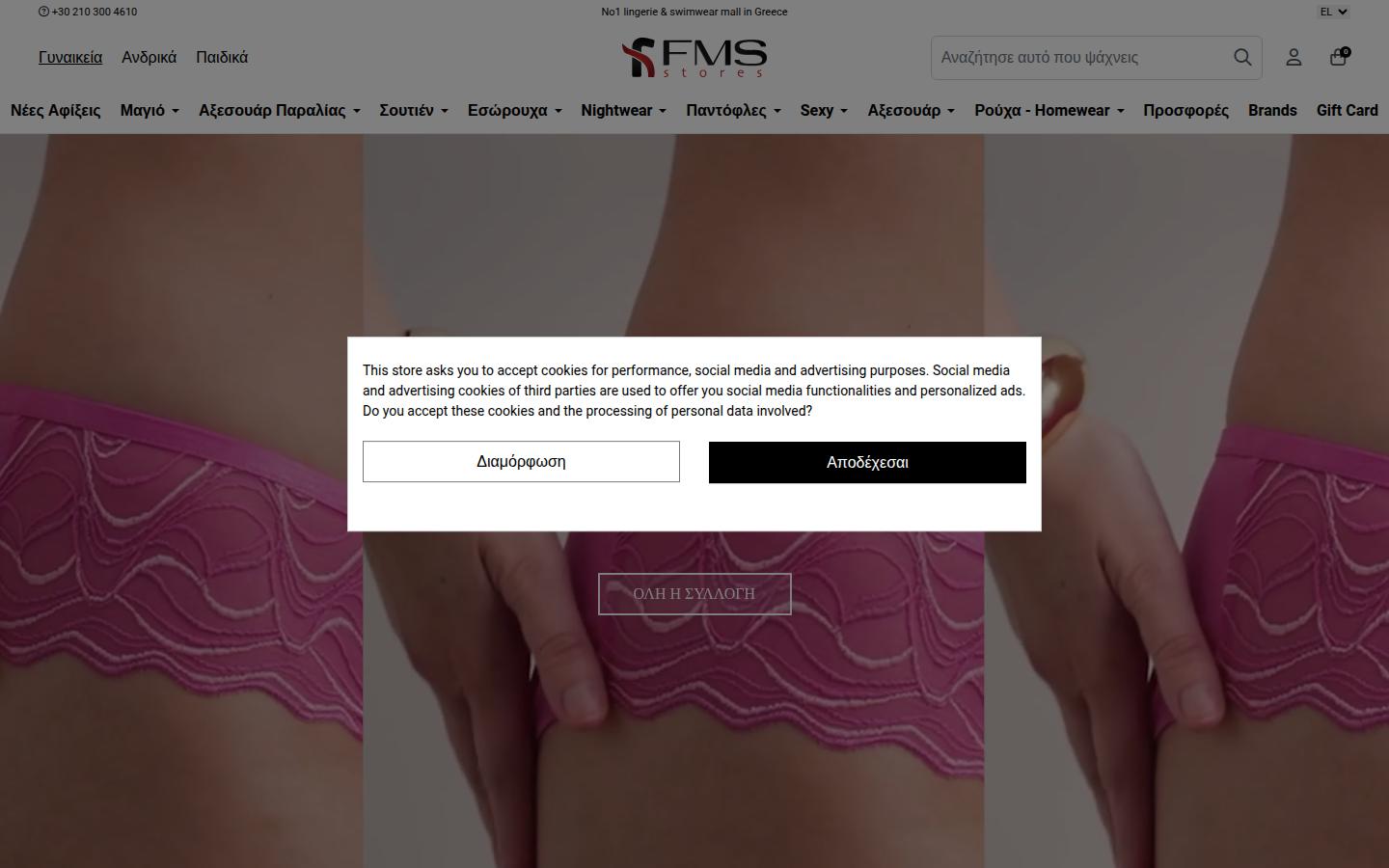 fmsstores.gr